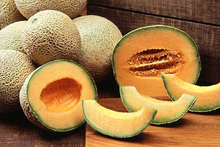 Cucumis melo var. reticulatus